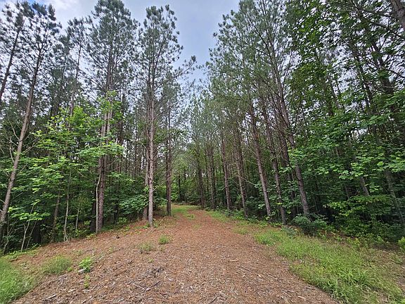 5th image of 2063 Wedgewood Dr Lot 239