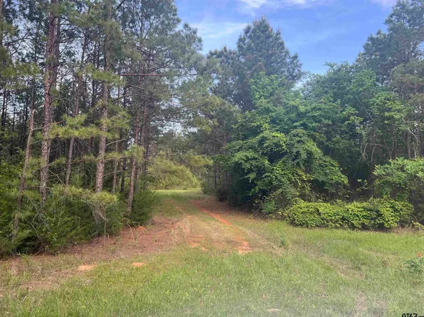 TRACT 3 County Road 477 W, Henderson, TX 75654