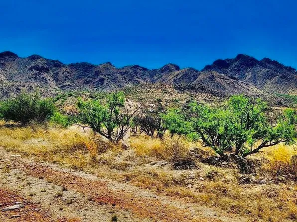 1770 Alder Corte #5, Rio Rico, AZ 85648