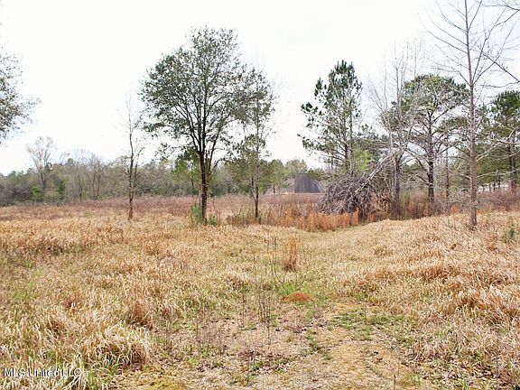 2nd image of 463AC White Rd