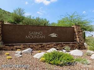 Welcome to Sabino Mountain!