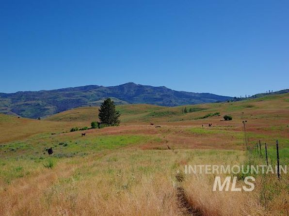 N Grays Creek Rd, Indian Valley, ID 83632