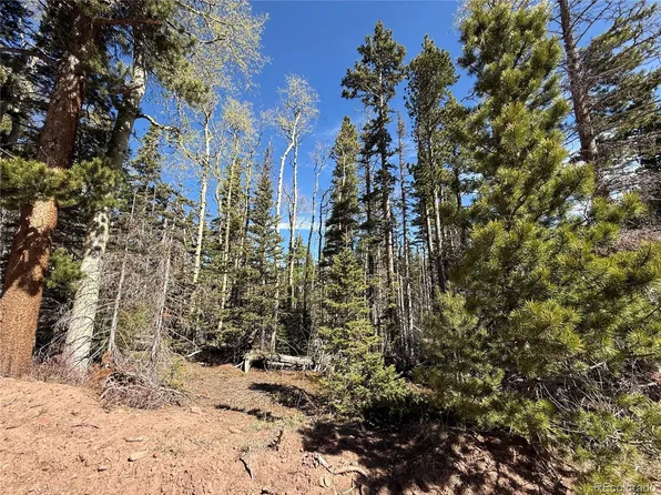 Lot 3408 Drexler Place LOT 3408, Fort Garland, CO 81133