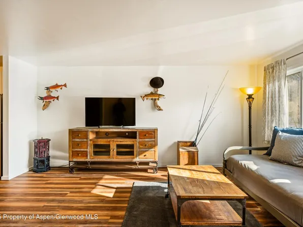3215 Hager Ln APT 2, Glenwood Springs, CO 81601
