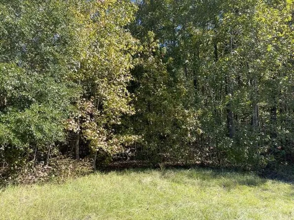 0 Carolina Hwy, Olar, SC 29843