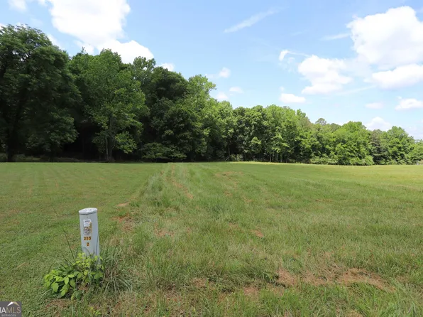 0 Leonard Ln, Summerville, GA 30747