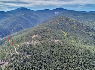 111 Lizzie Claim, Idaho Springs, CO 80452