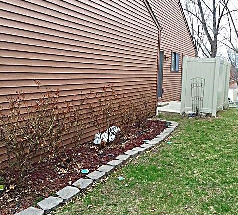 FRONT TO BACK YARD...