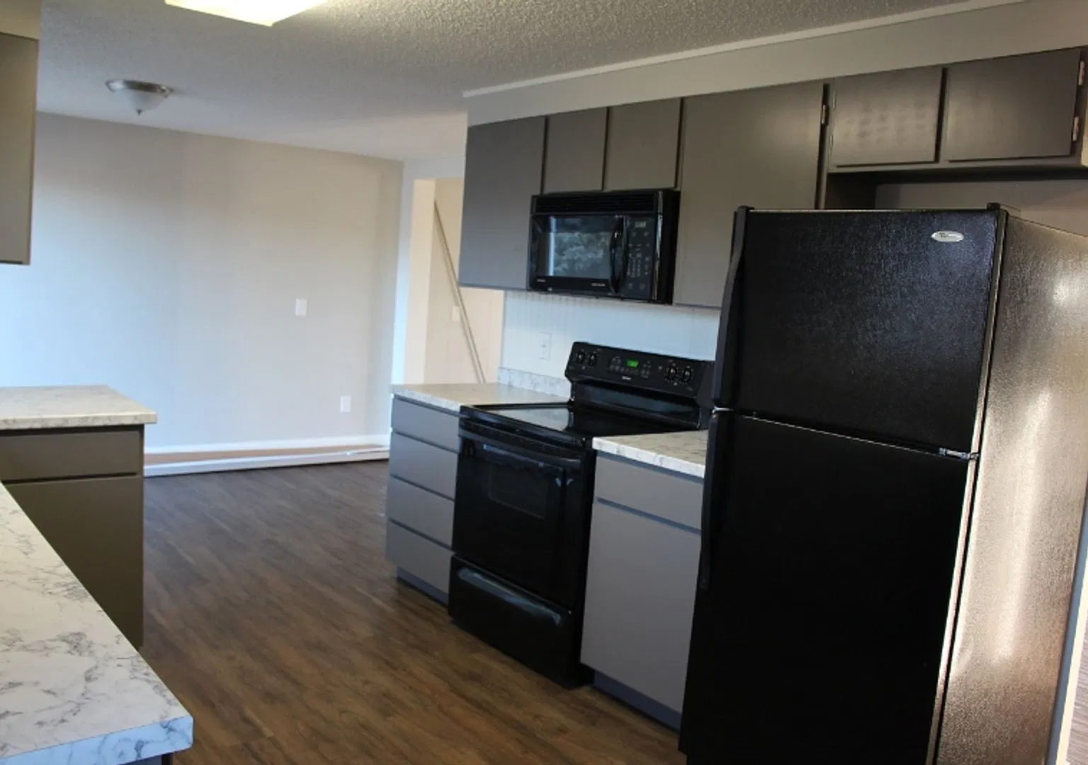 3 Bed, 2 Bath Pet Friendly in the Heights — Photo 3