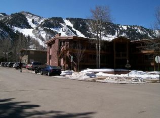 835 E Hyman Ave APT C, Aspen, CO 81611