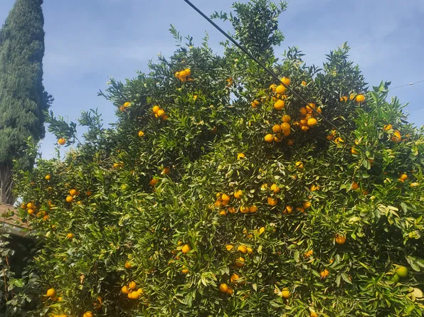 13529 Burbank Blvd, Van Nuys, CA 91401