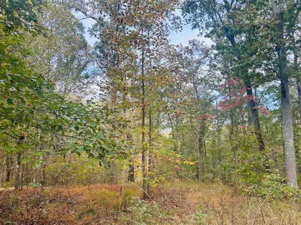 16 Turkey Ct, Waco, GA 30182