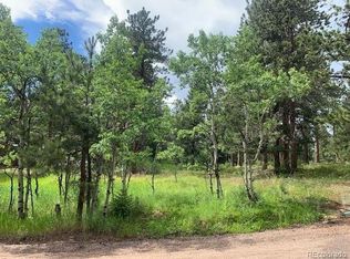 30593 Blue Mountain Rd, Golden, CO 80403