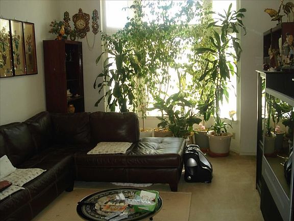 3rd image of 11105 Loma Grande Dr