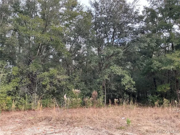 10623 N Didiscus Dr, Citrus Springs, FL 34434