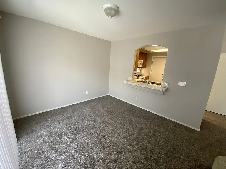 10256 Grecian Laurel Ct — Photo 14