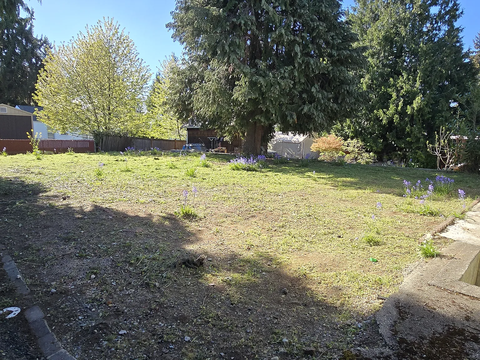 3 bed, 1350 sqft, $3,200 — Photo 4
