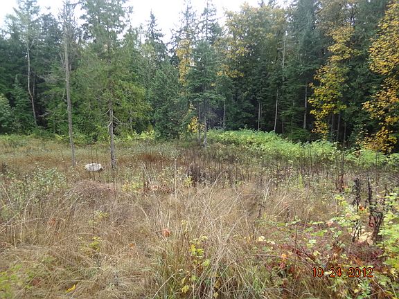 5th image of 4228 244th Ave NE