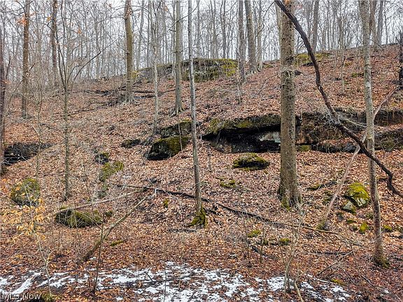 5th image of 0 Barber Ridge Rd Tract 8