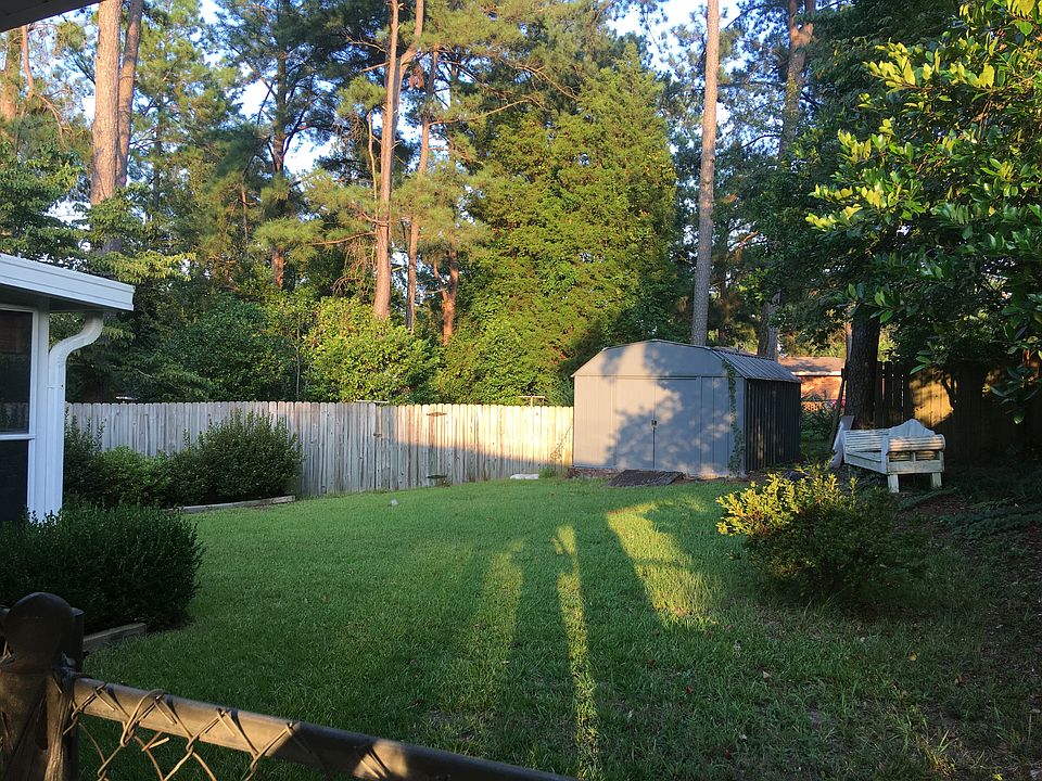 Back yard