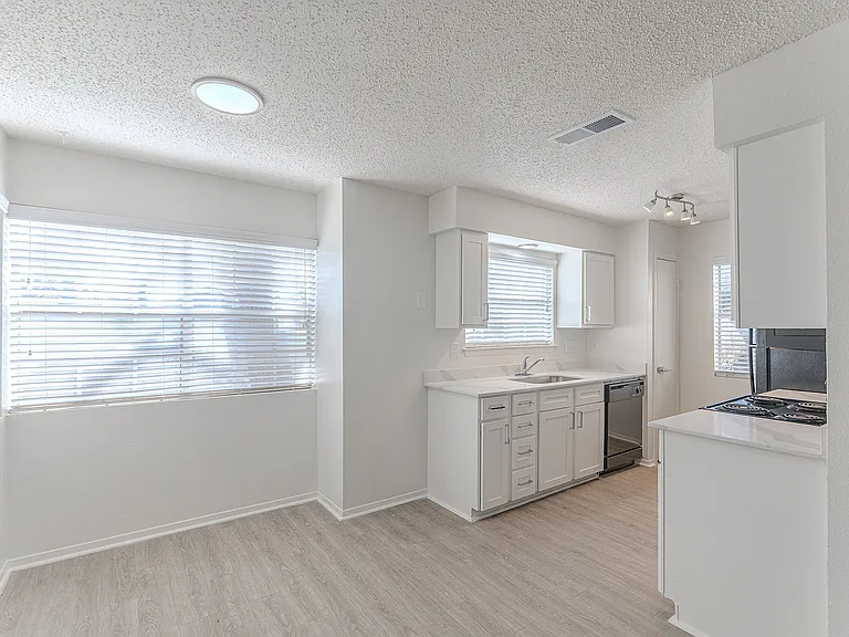 Renovated Kitchen