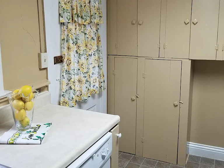 Kitchen door to back porch, cellar area and backyard