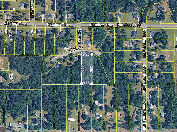 5th image of 317 Hawk Ct