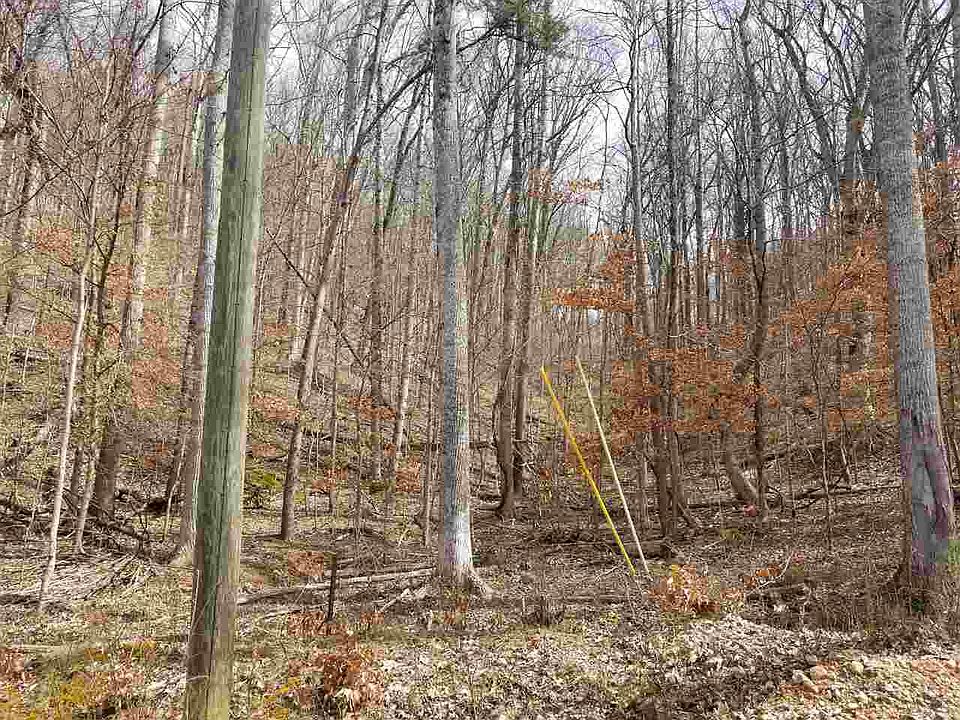 1st image of 2260 Island Park Cir