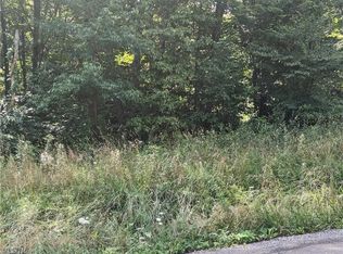 18383 Forbes Rd, Wellsville, OH 43968