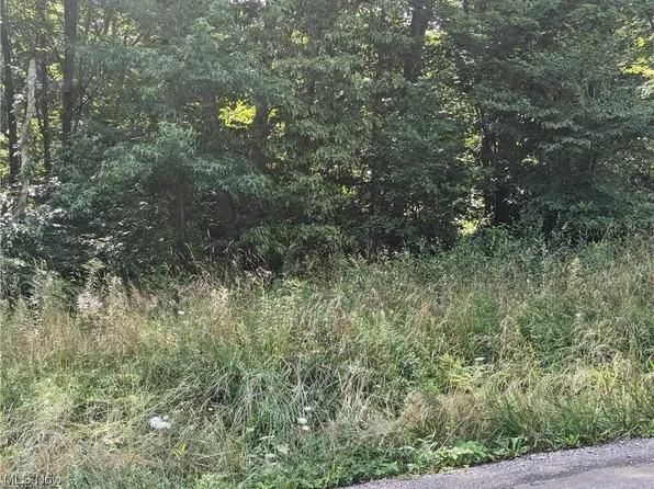 18383 Forbes Rd, Wellsville, OH 43968