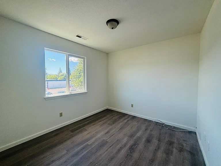 Live Oak Dr — Photo 13