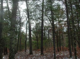 1707 W Twelve Mile Rd, Irons, MI 49644