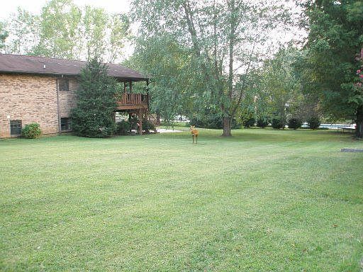 3rd image of 933 Old McGinley Dr
