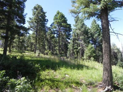 13850 Boulder Ln, Larkspur, CO, 80118