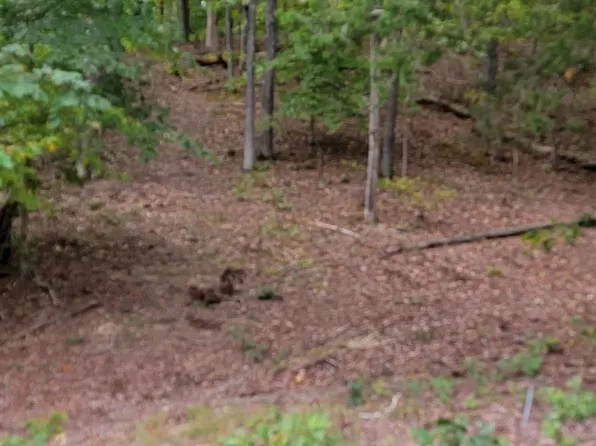 1075 Rockcastle Lakeshore Dr, Cadiz, KY 42211