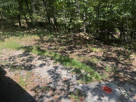 5th image of 10 Pine Ln #67
