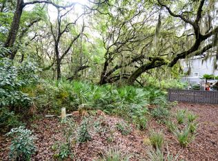 Belted Kingfisher, Fernandina Beach, FL 32034