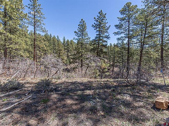 4th image of 97 Canyon Pines