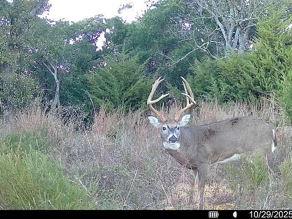 2nd image of 0 121st Rd