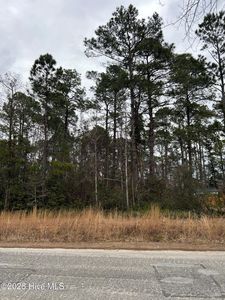628 Boundary Loop Rd NW Lot 343, Calabash, NC, 28467