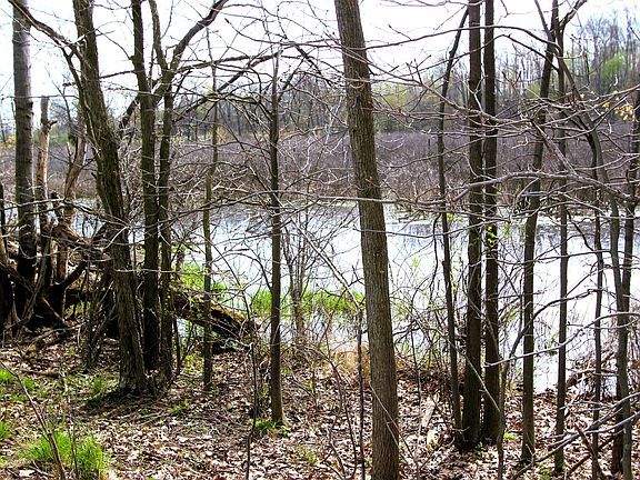 3rd image of V/l Frost Rd