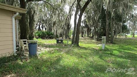 Side yard