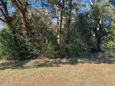 SE 46th St, Gainesville, FL, 32641