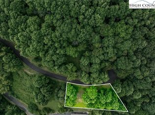 Lot 20 Lake Ridge, Butler, TN 37640