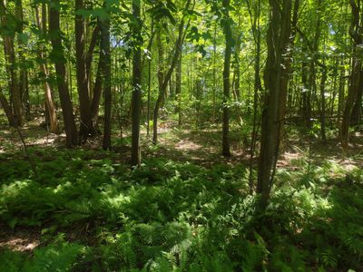 0 Silver Rd, Glenn, MI, 49416