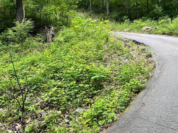 9999 Wilson Cove Rd, Swannanoa, NC 28778