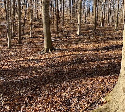 5th image of Little Creek Ln