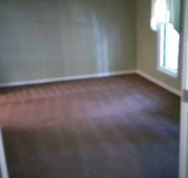 433 Raintree Dr — Photo 13