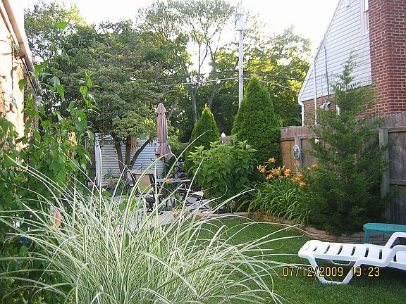Back yard