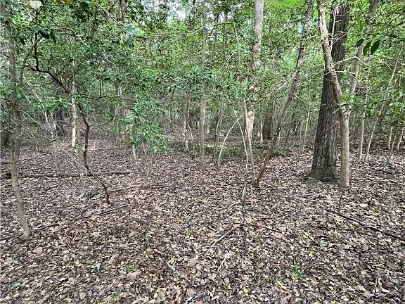 3rd image of 9 E Harmony Way Lot 9